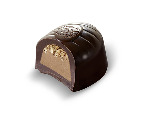 Marron Noisettes